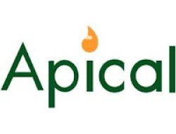 Lowongan Kerja Terbaru Apical Group Ltd Tahun 2025